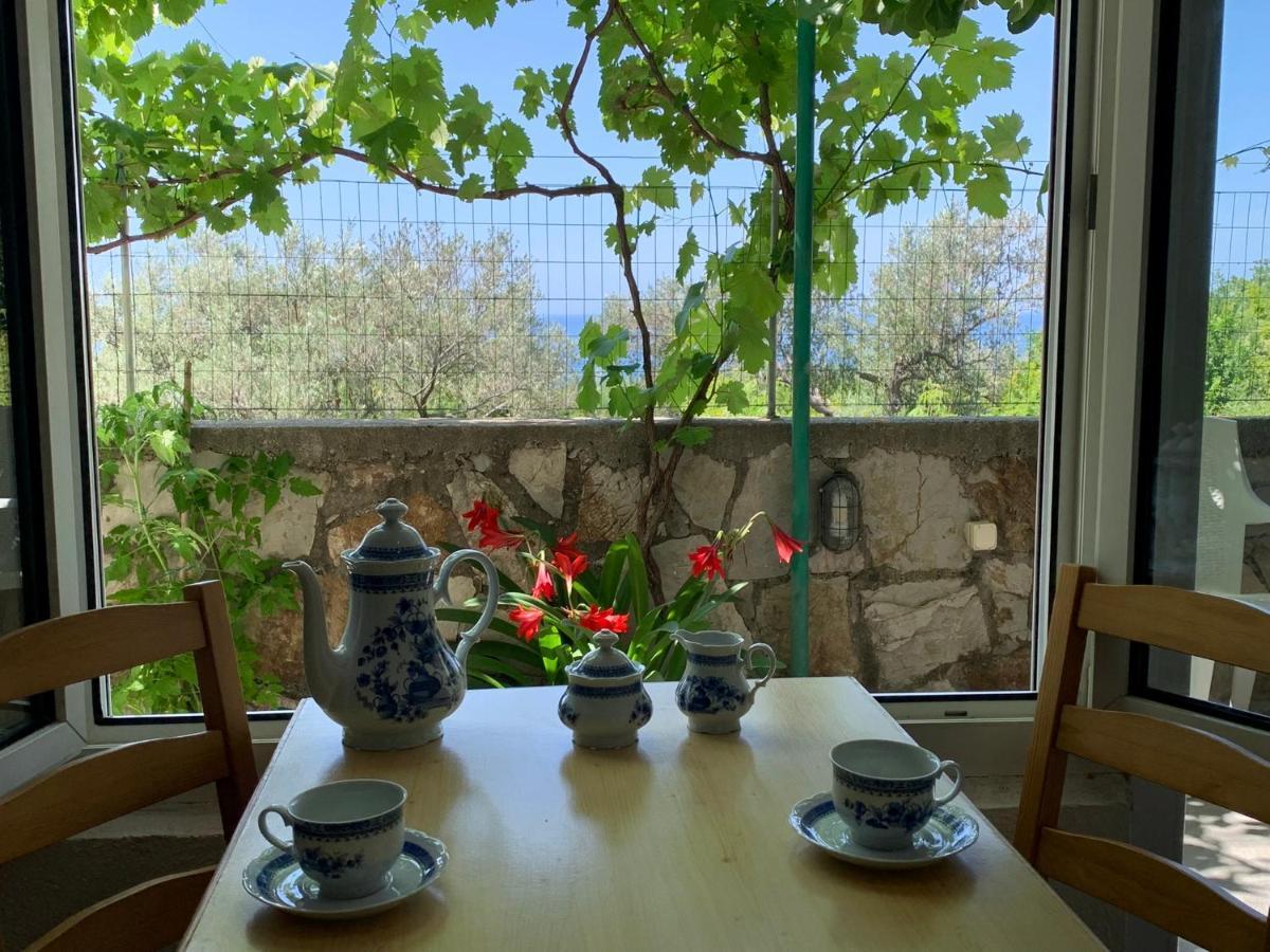 Apartments Mirian Petrovac Zewnętrze zdjęcie