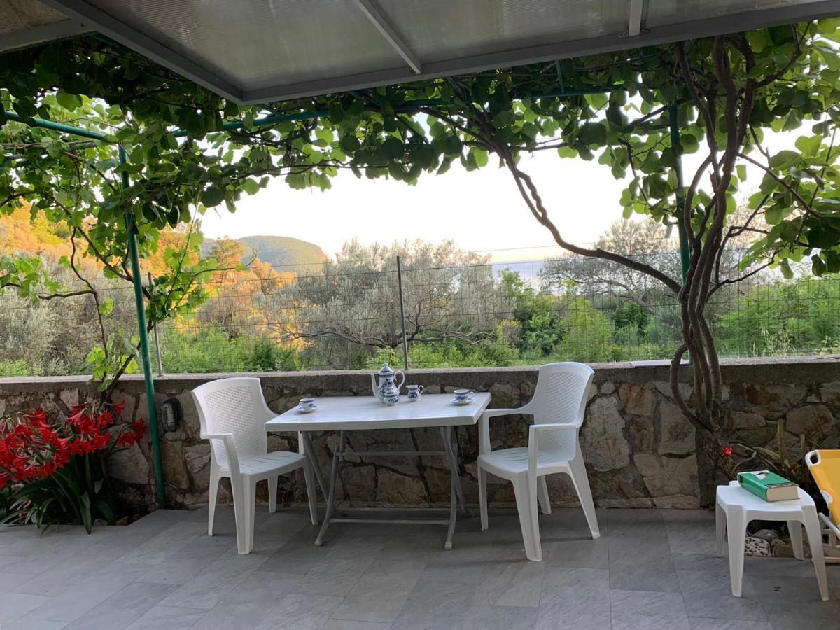Apartments Mirian Petrovac Zewnętrze zdjęcie
