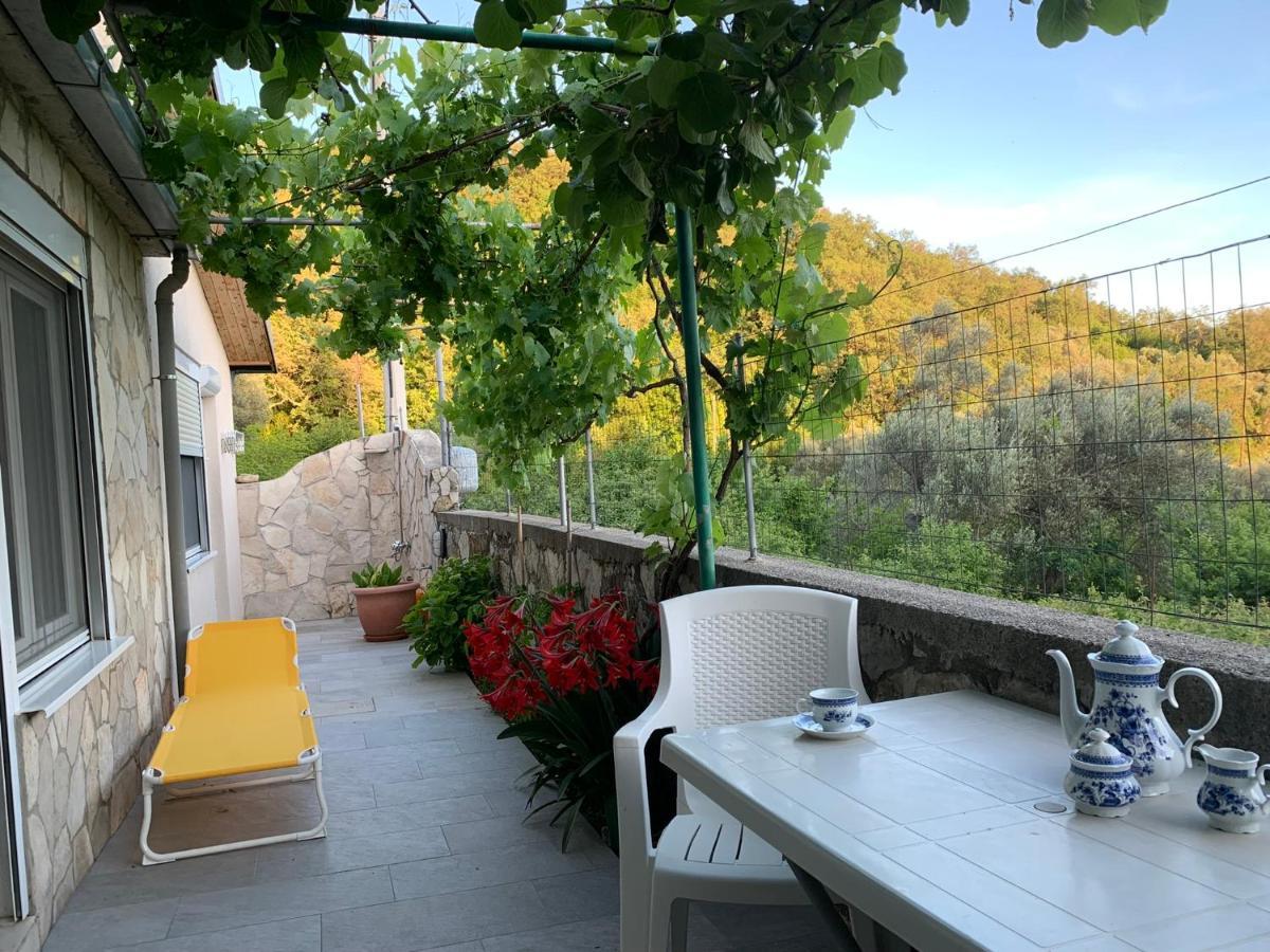 Apartments Mirian Petrovac Zewnętrze zdjęcie
