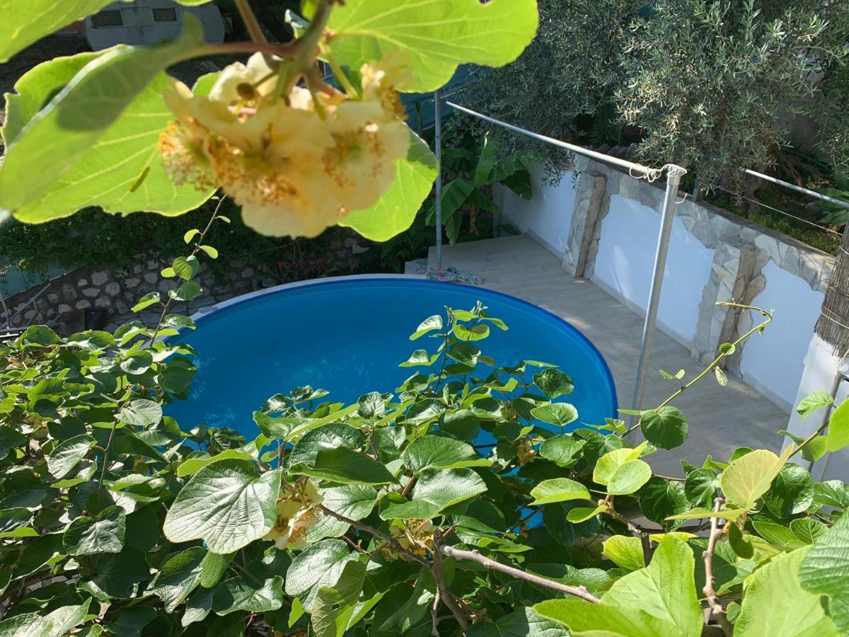 Apartments Mirian Petrovac Zewnętrze zdjęcie