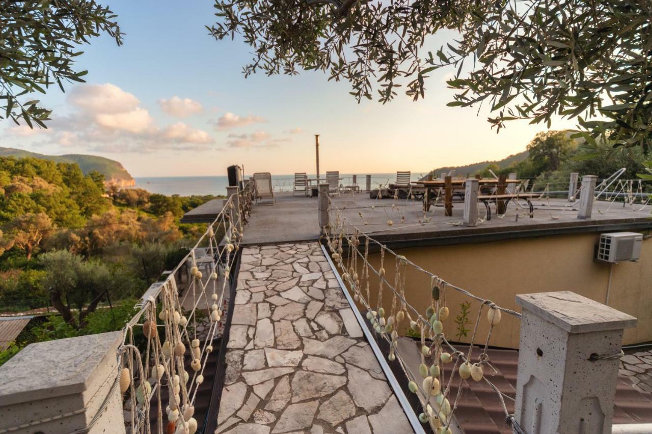 Apartments Mirian Petrovac Zewnętrze zdjęcie